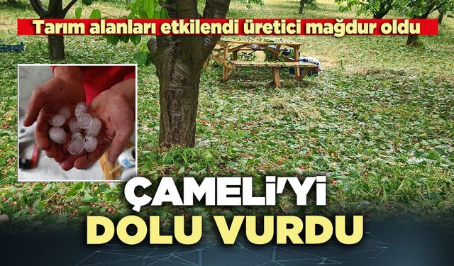 Çameli'yi dolu vurdu