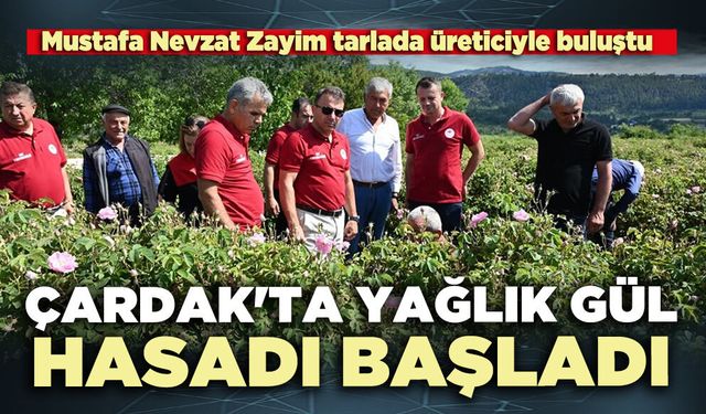Çardak'ta yağlık gül hasadı başladı