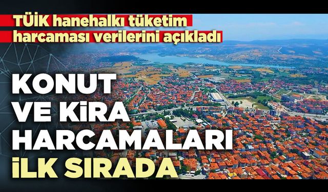 Konut ve kira harcamaları ilk sırada