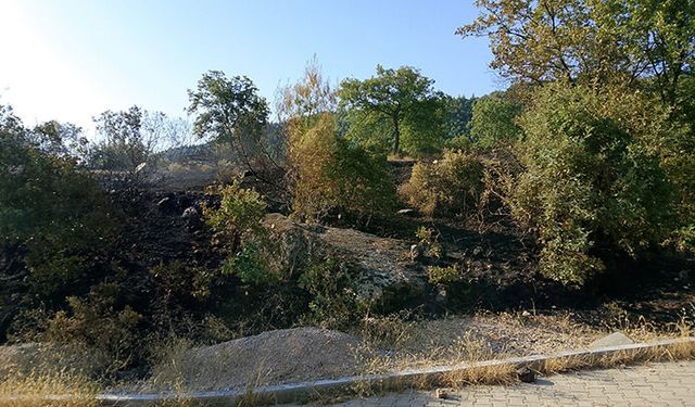 Örtü yangını büyümeden kontrol altına alındı