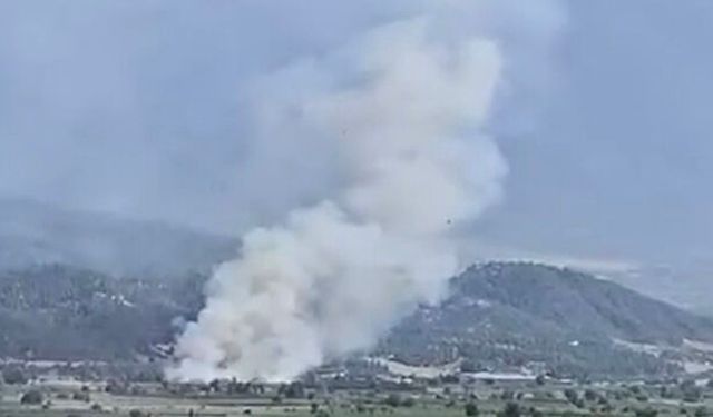 Ormanlık alana yakın bölgede arazi yangını çıktı