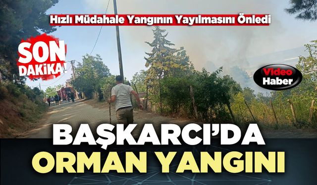 Başkarcı’daki Orman Yangını