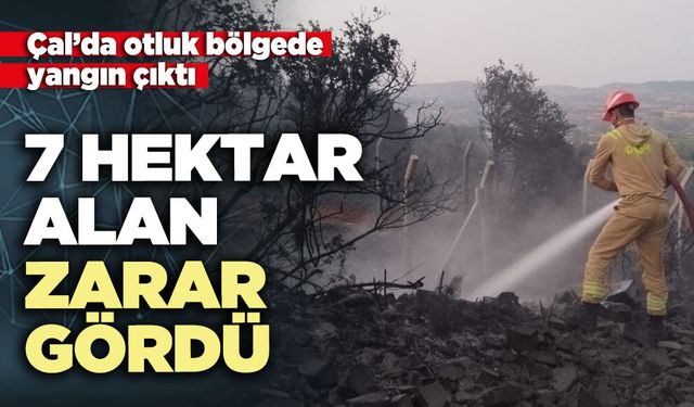 Çal’da otluk bölgede çıkan yangında 7 Hektar alan zarar gördü