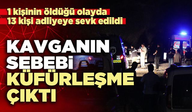 Kavganın sebebi küfürleşme çıktı