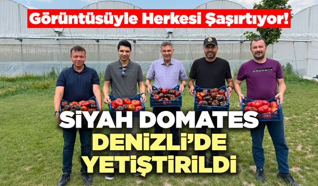Siyah Domates Denizli’de Yetiştirildi