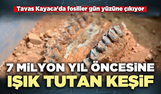 7 Milyon yıl öncesine ışık tutan keşif
