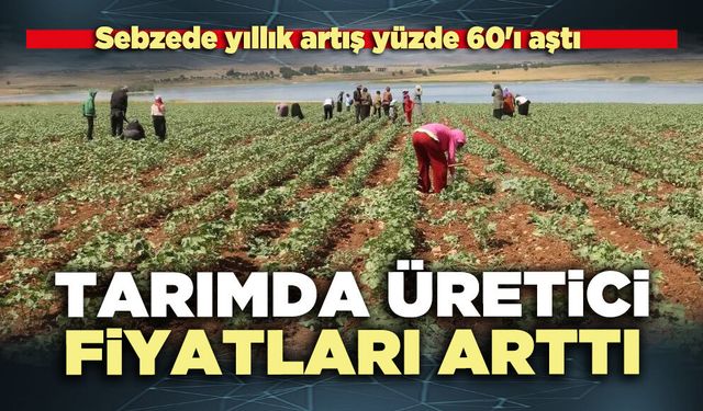 Tarımda üretici fiyatları arttı: Sebzede yıllık artış yüzde 60'ı aştı