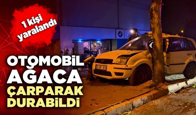 Otomobil ağaca çarparak durabildi