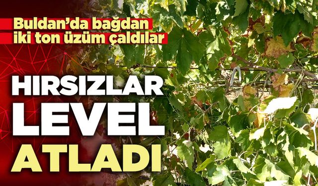 Hırsızlık level atladı