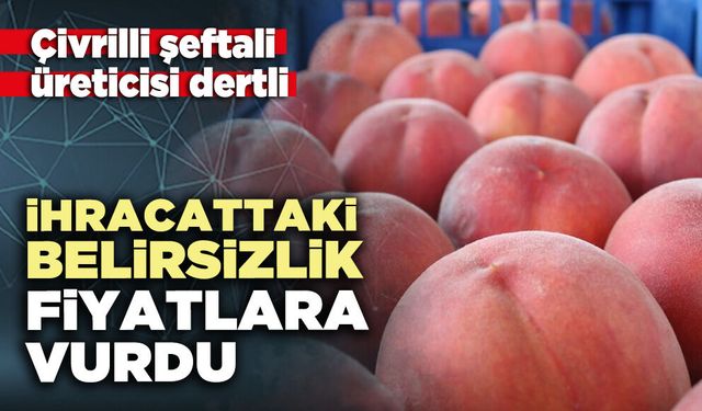 İhracattaki belirsizlik fiyatlara vurdu