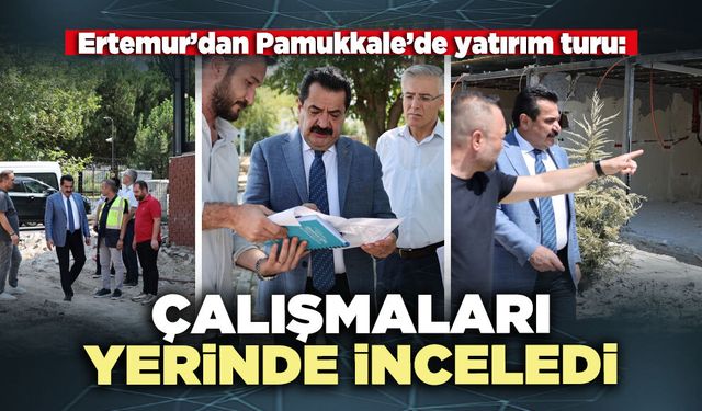 Ertemur çalışmaları yerinde inceledi