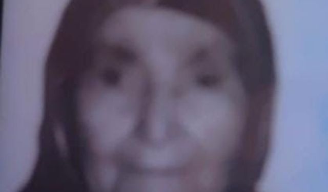 90 yaşındaki Alzheimer hastası kadın kayboldu