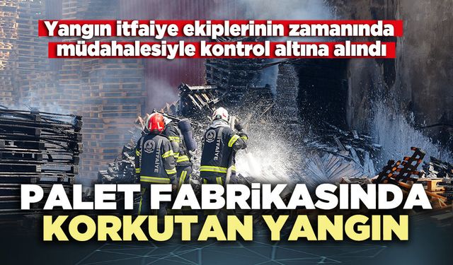 Palet fabrikasında korkutan yangın