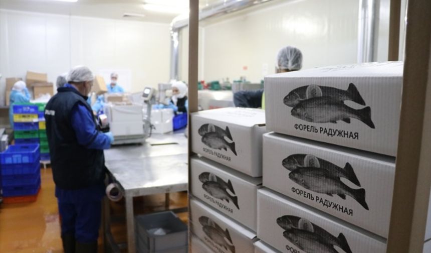 Tütsülenmiş Alabalıkla Çin Ve Japonya Pazarına Girdiler