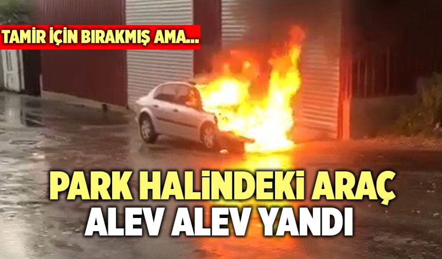 Denizli’de Park Halindeki Araç Alev Alev Yandı