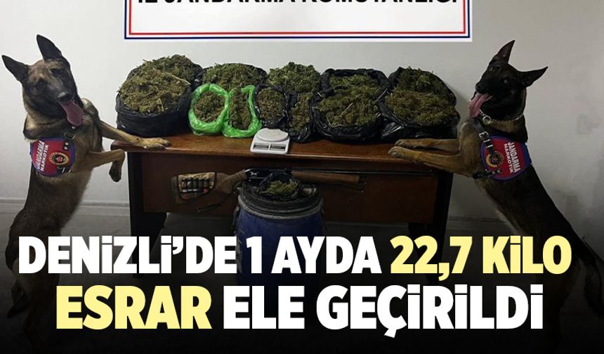 Denizli’de 1 Ayda 22,7 Kilo Esrar Ele Geçirildi