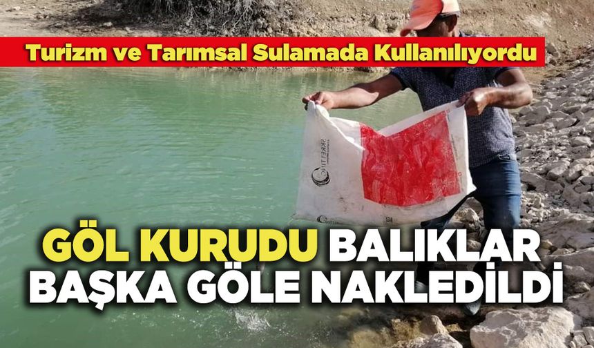 Göl Kurudu Balıklar Başka Göle Nakledildi