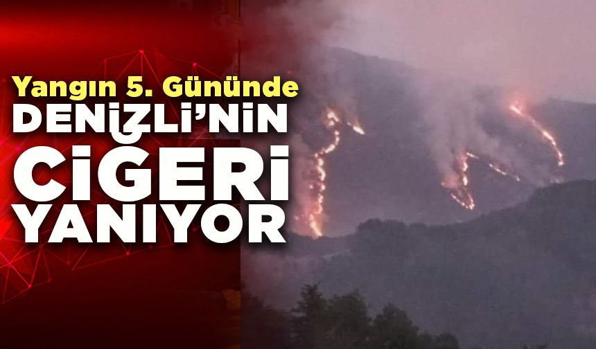 Denizli’nin ciğeri yanmaya devam ediyor