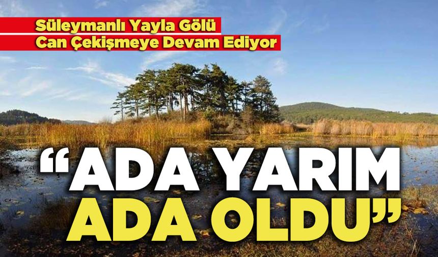 Süleymanlı Yayla Gölü Can Çekişmeye Devam Ediyor, "Ada Yarım Ada Oldu"