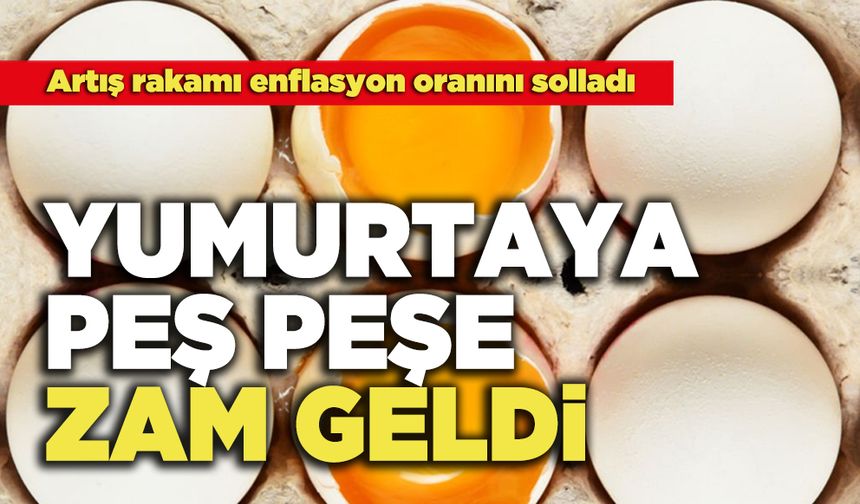 Yumurtaya Peş Peşe Zam Geldi