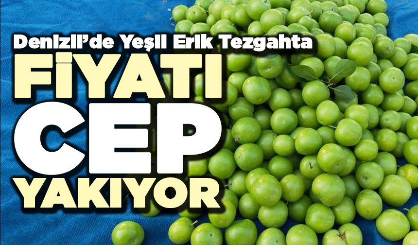 Denizli’de Yeşil Erik Tezgâhta