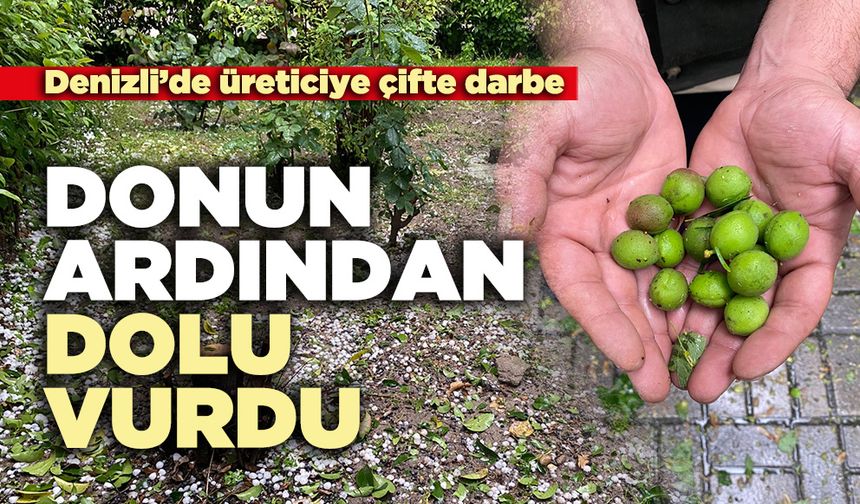 Denizli’de üreticiye çifte darbe: Donun ardından dolu vurdu