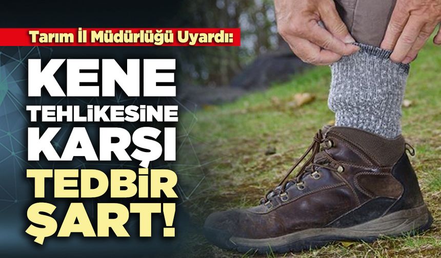 Tarım İl Müdürlüğü Uyardı: Kene tehlikesine karşı tedbir şart!