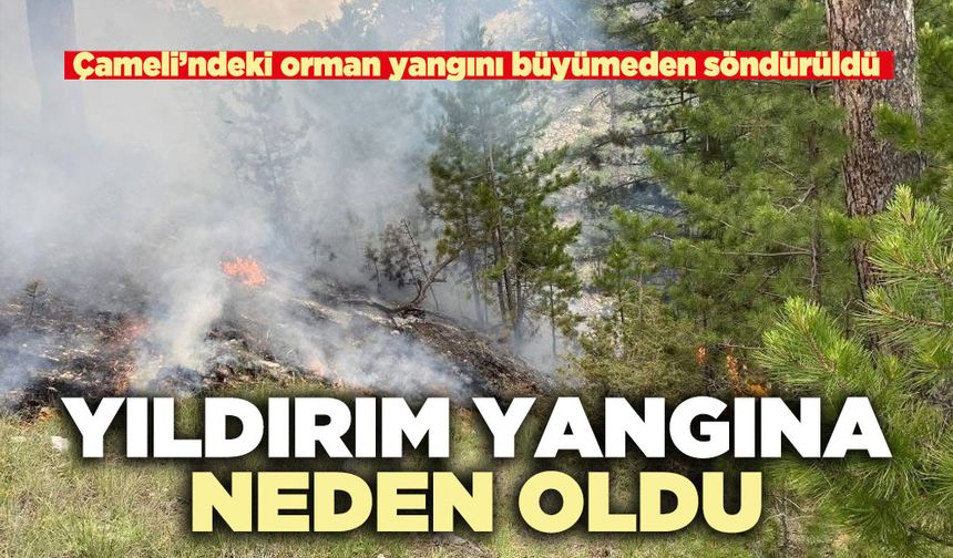 Yıldırım yangına neden oldu
