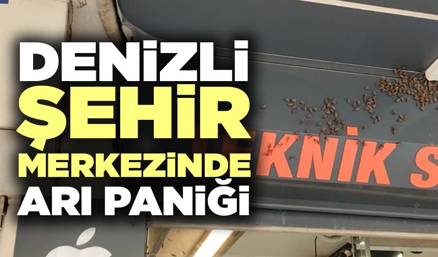 Denizli Şehir Merkezinde Arı Paniği