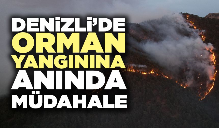 Denizli’de Orman Yangınına Anında Müdahale