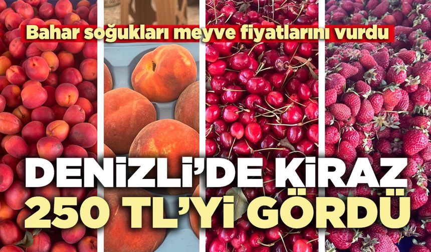 Denizli’de kiraz 250 TL’yi gördü