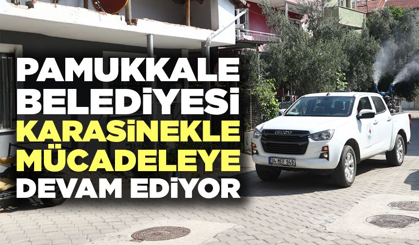 Pamukkale Belediyesi Karasinekle Mücadeleye Devam Ediyor