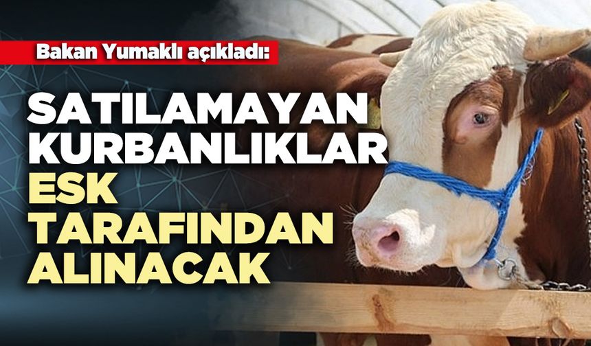 Bakan Yumaklı açıkladı: Satılamayan kurbanlıklar ESK tarafından alınacak