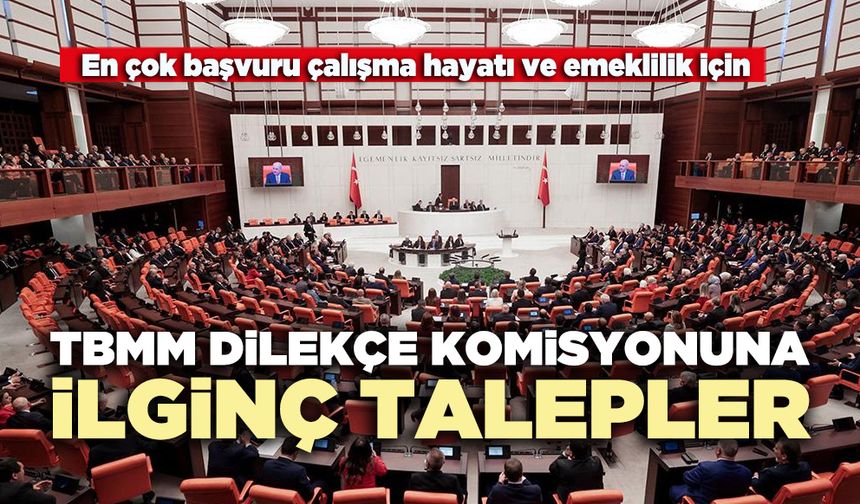 TBMM dilekçe komisyonuna ilginç talepler