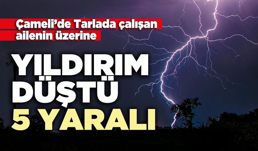 Tarlada çalışan ailenin üzerine yıldırım düştü; 5 yaralı