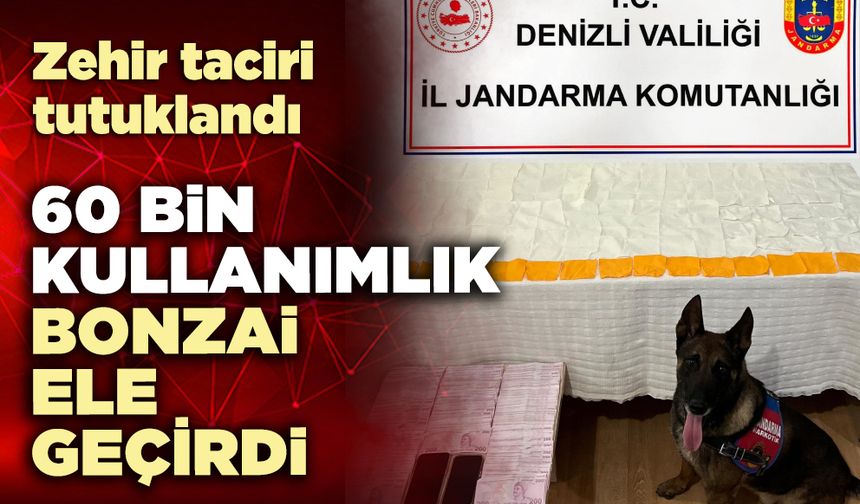 60 bin kullanımlık bonzai ele geçirdi