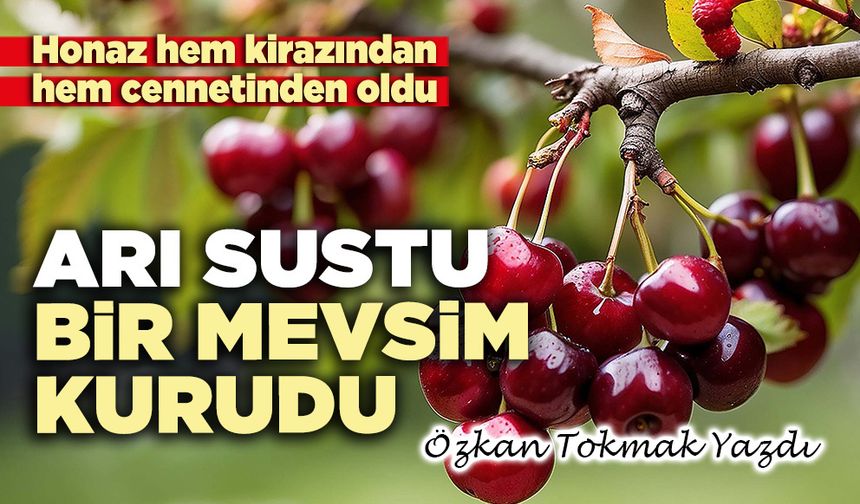 Arı sustu bir mevsim kurudu