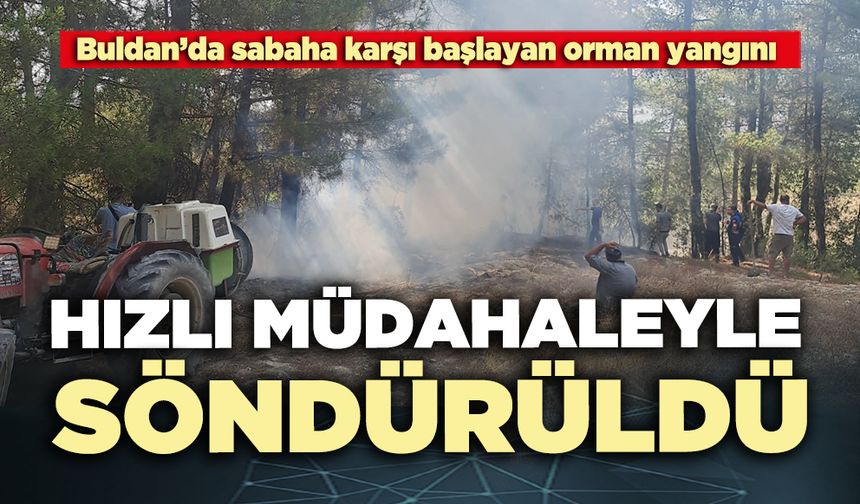 Orman yangını hızlı müdahaleyle söndürüldü