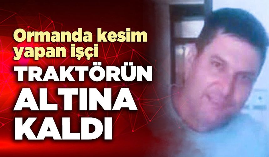 Ormanda kesim yapan işçi traktörün altına kaldı
