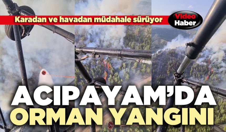 Acıpayam’da orman yangını