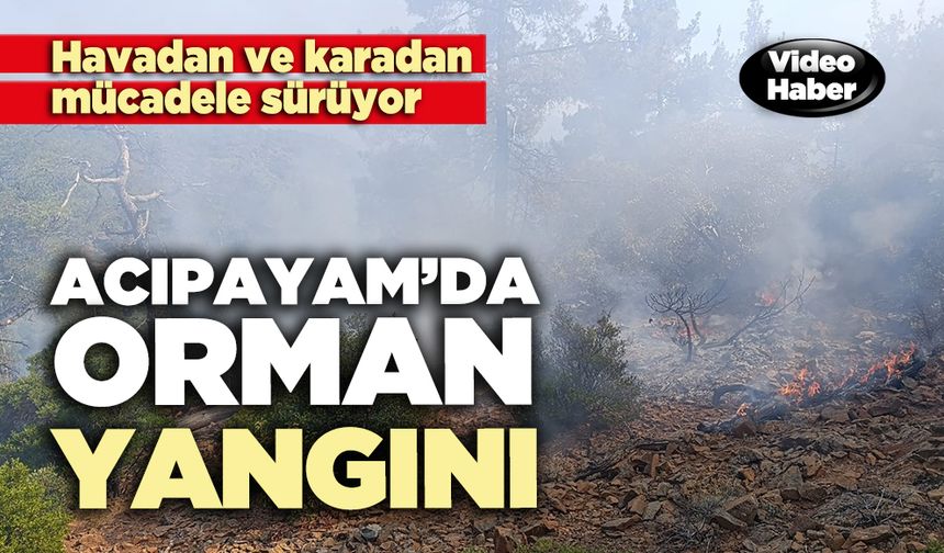 Acıpayam’da orman yangını