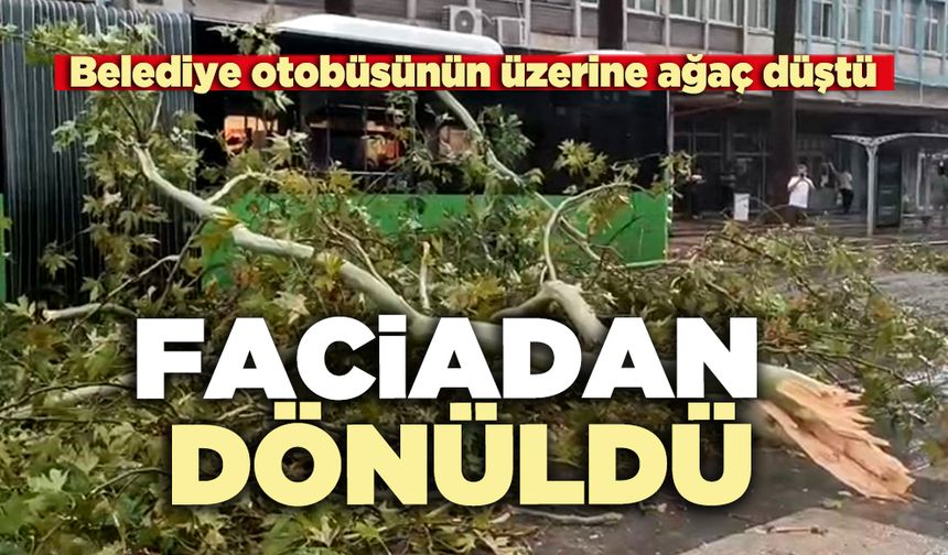 Faciadan dönüldü; Belediye otobüsünün üzerine ağaç düştü
