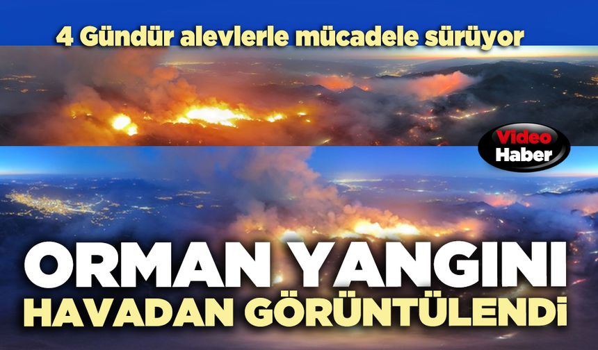 Orman yangını havadan görüntülendi