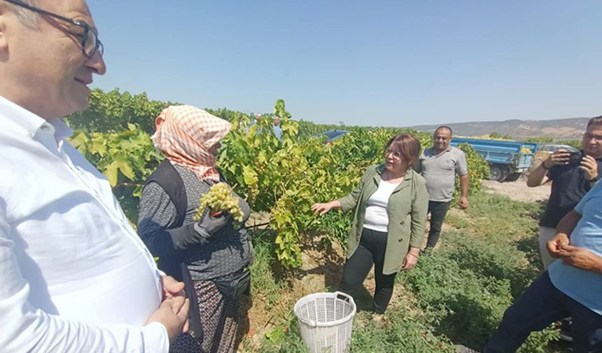 CHP’li Karaca’dan Tarım Bakanlığı’na sert tepki