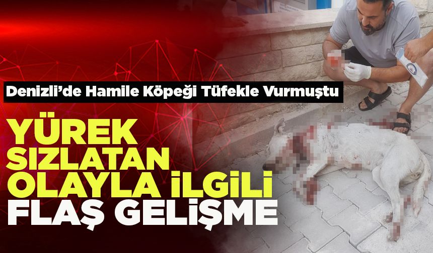Denizli’de Hamile Köpeği Tüfekle Vuran Şahısla İlgili Flaş Gelişme