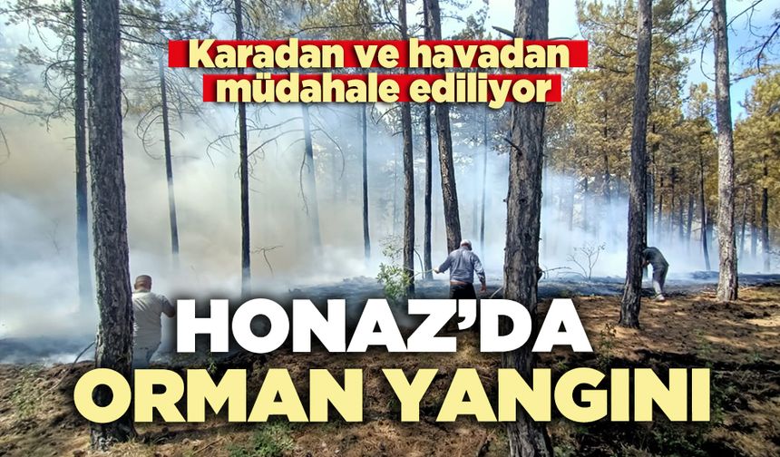 Honaz’daki orman yangını