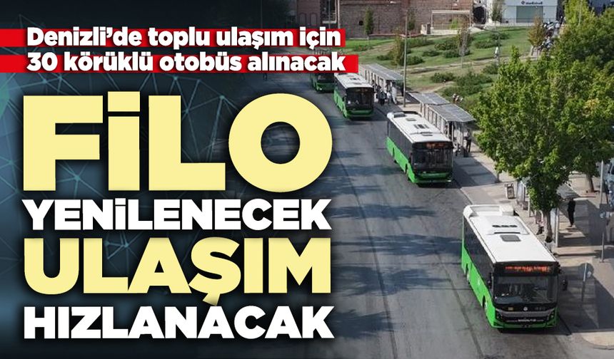 Filo yenilenecek, ulaşım hızlanacak