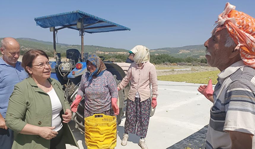 CHP’li Karaca: Kuru üzüm fiyatları neden açıklanmıyor?