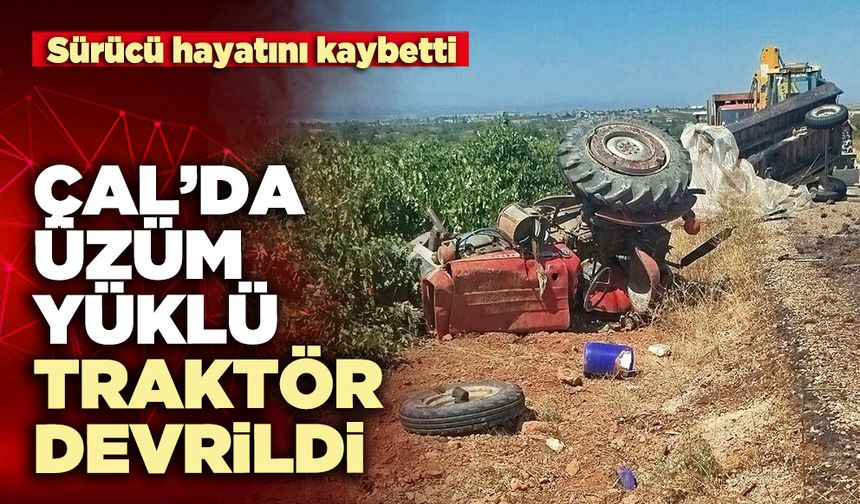 Çal’da üzüm yüklü traktör devrildi