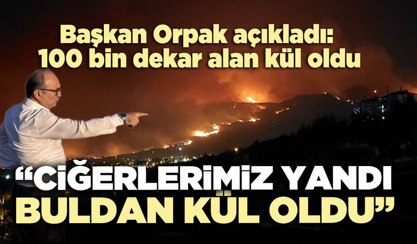 Başkan Orpak açıkladı: 100 bin dekar alan kül oldu